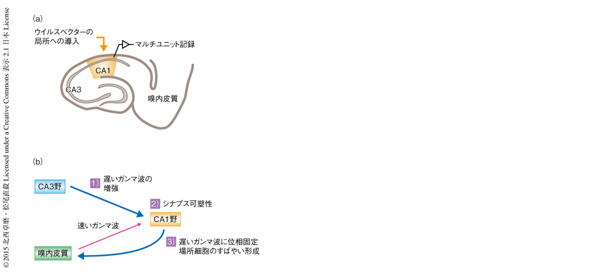 f:id:redtigerkun:20210930155328p:plain