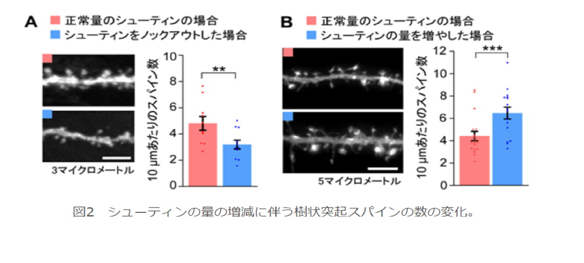 f:id:redtigerkun:20211025161132p:plain