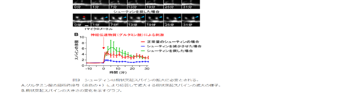 f:id:redtigerkun:20211025162237p:plain