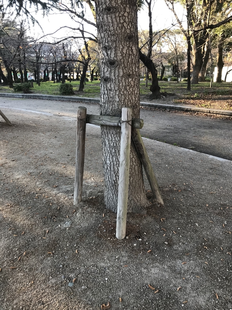 f:id:redtitorver0:20181227000536j:plain f:id:redtitorver0:20181227000536j:plain