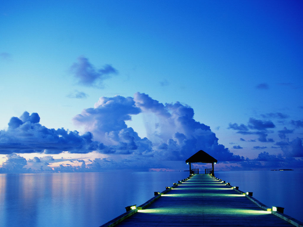 f:id:reedOFsummer:20200413163642j:plain