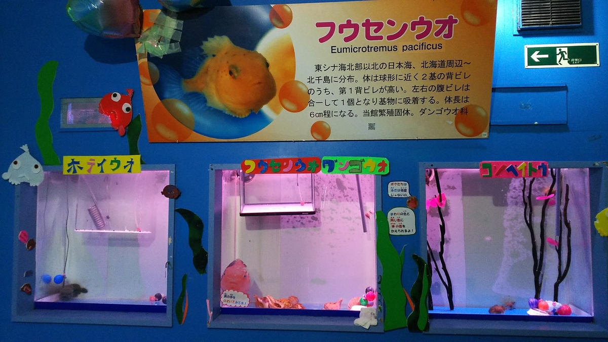 f:id:reeenia_aid8:20191113231119j:plain f:id:reeenia_aid8:20191113231119j:plain