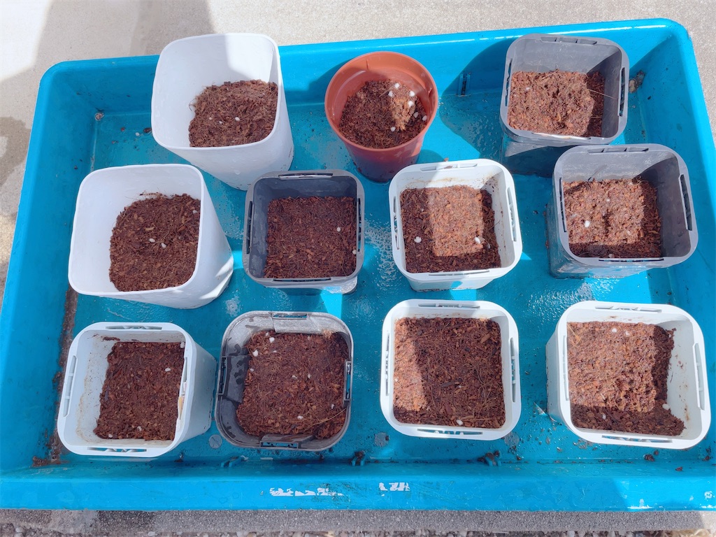 f:id:reemonchan:20241210203854j:image f:id:reemonchan:20241210203854j:image