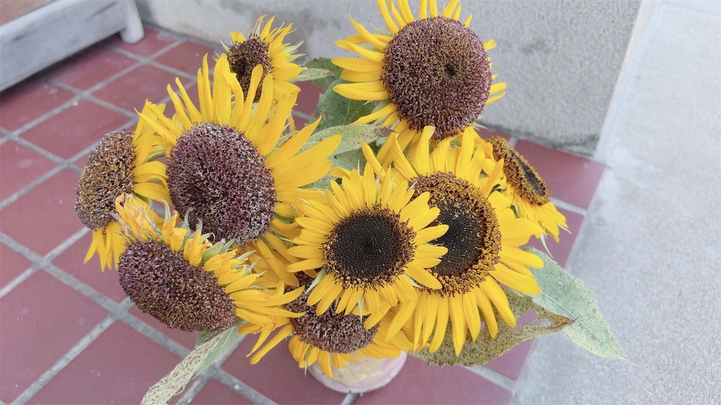 f:id:reemonchan:20241210210903j:image f:id:reemonchan:20241210210903j:image