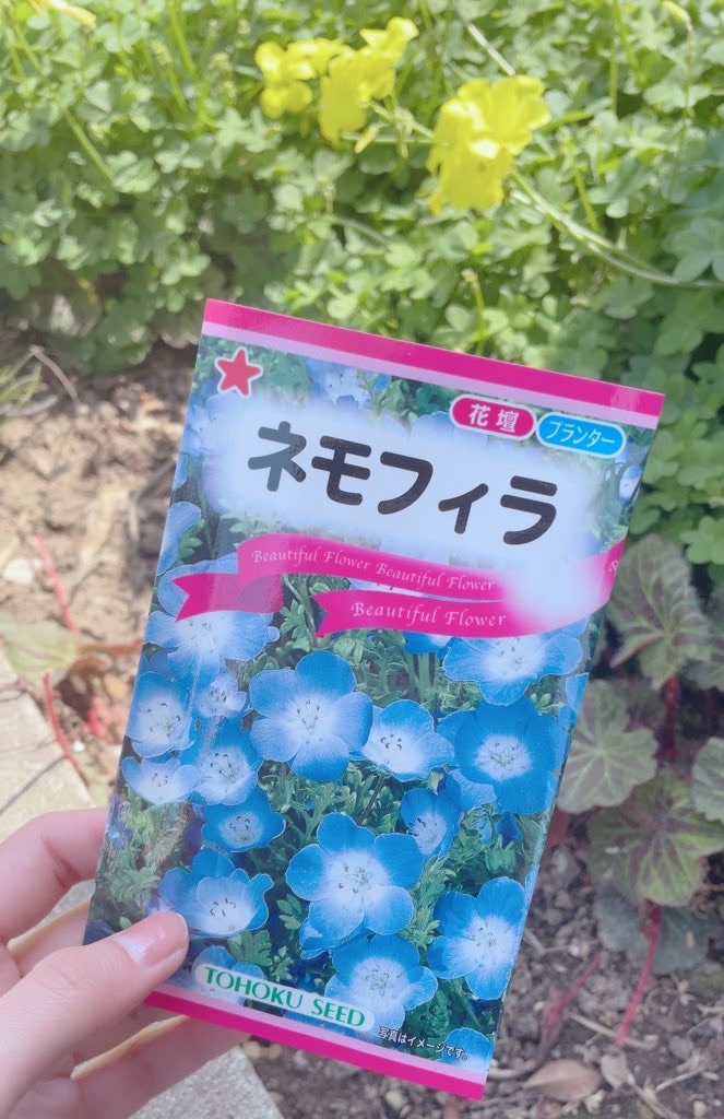 f:id:reemonchan:20250730215916j:image f:id:reemonchan:20250730215916j:image