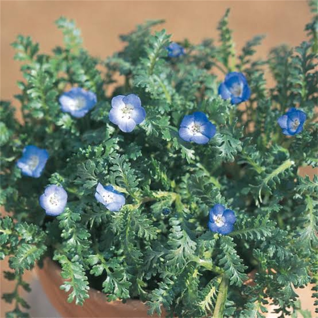 f:id:reemonchan:20250730220924j:image f:id:reemonchan:20250730220924j:image