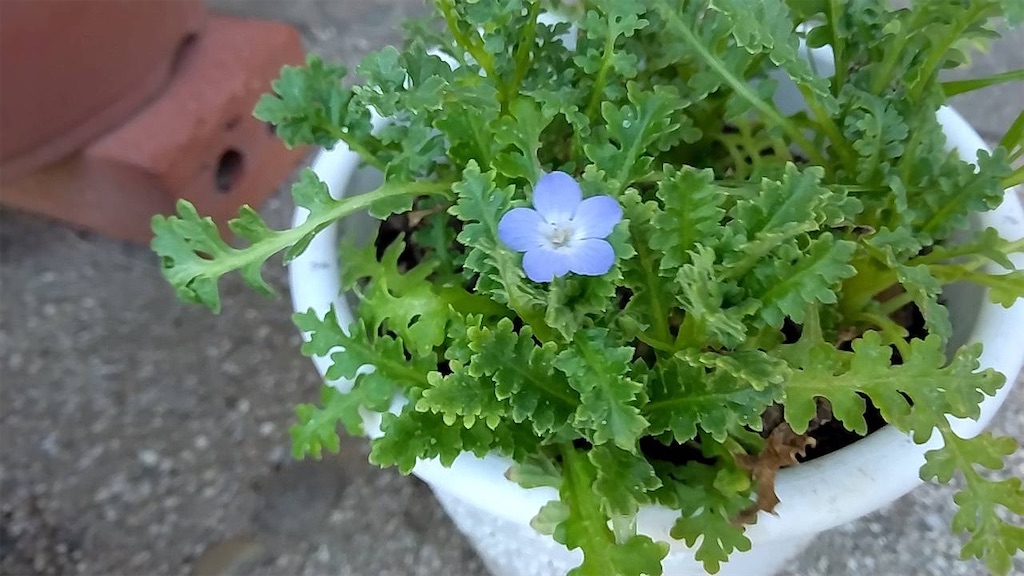 f:id:reemonchan:20250730225501j:image f:id:reemonchan:20250730225501j:image