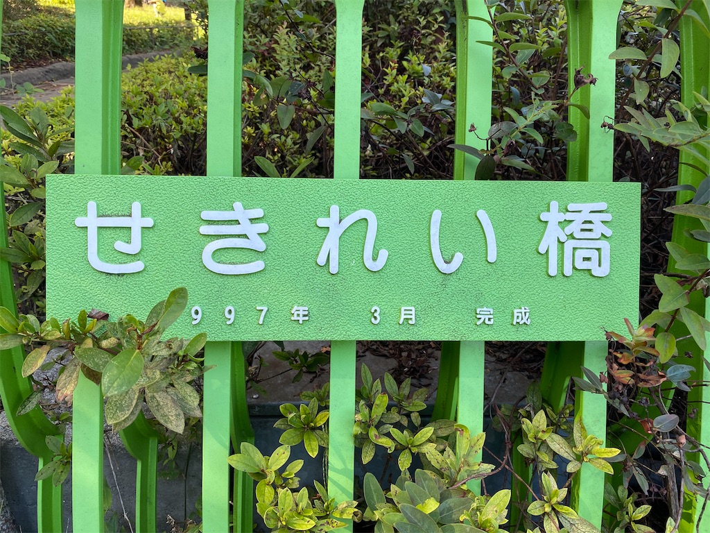 f:id:reenasunsetsp:20210415161706j:image