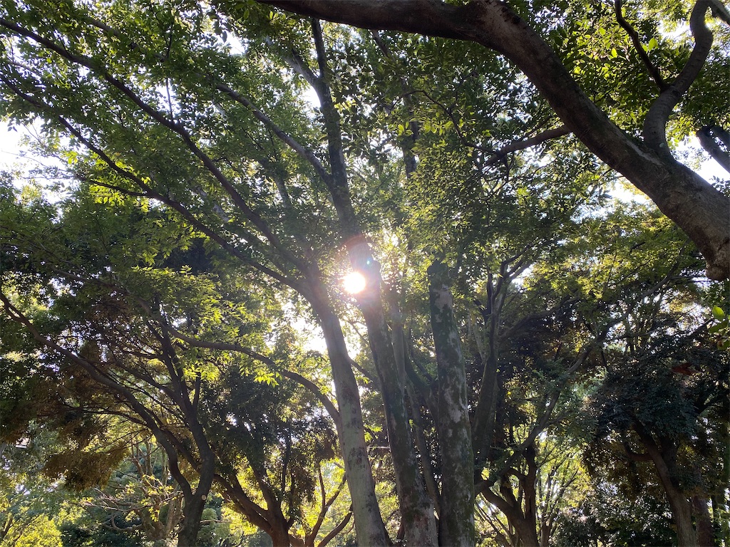 f:id:reenasunsetsp:20210811141453j:image