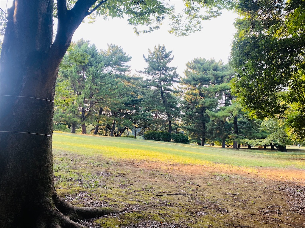 f:id:reenasunsetsp:20250902215954j:image
