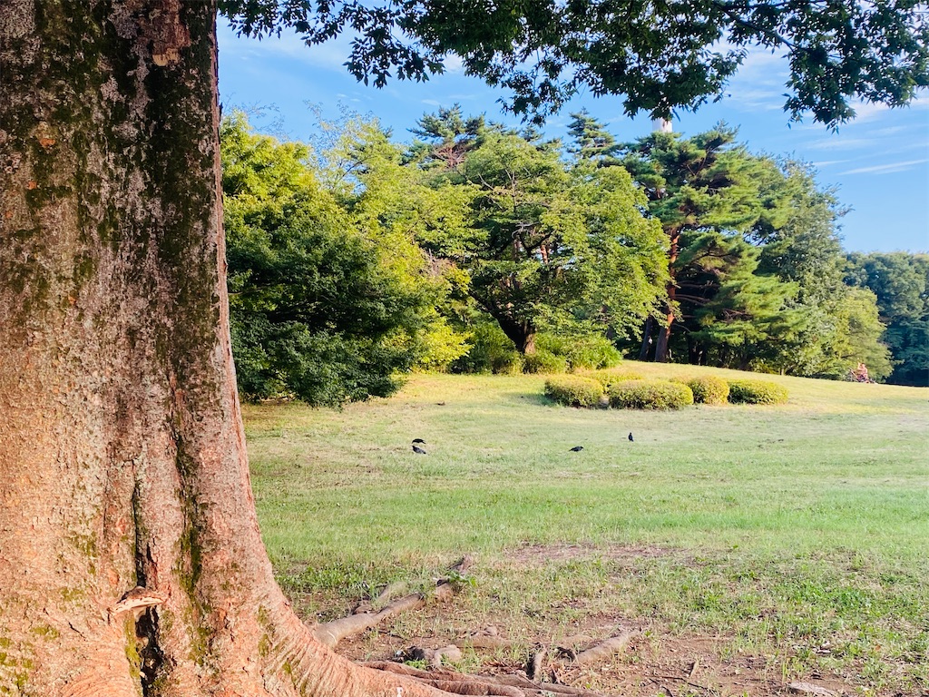 f:id:reenasunsetsp:20250902221526j:image