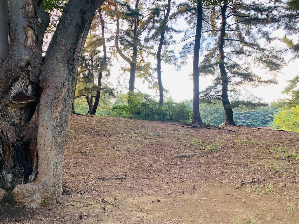 f:id:reenasunsetsp:20250902221534j:image