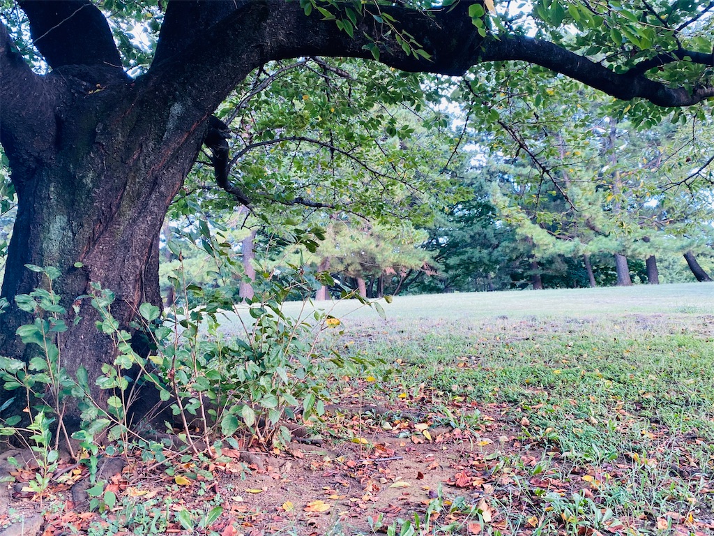 f:id:reenasunsetsp:20250902221544j:image