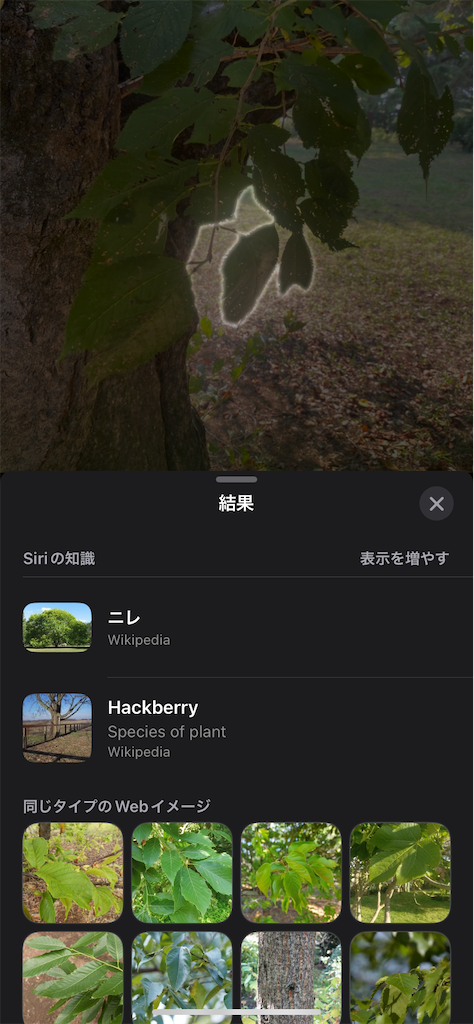 f:id:reenasunsetsp:20250903215227p:image