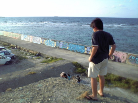 f:id:reenoehon:20081005171600j:image:h167 f:id:reenoehon:20081005171600j:image:h167