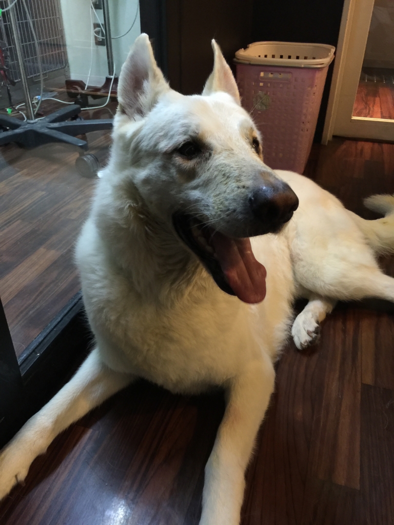 f:id:reeyan:20160607122526j:plain