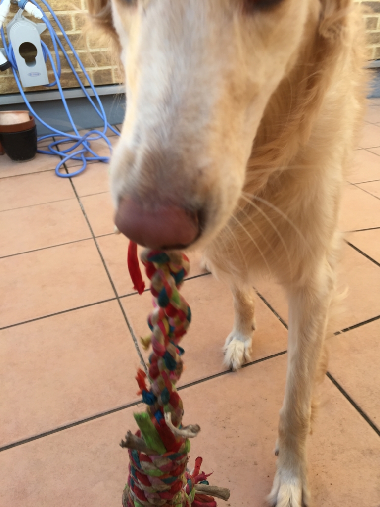 f:id:reeyan:20160711174450j:plain