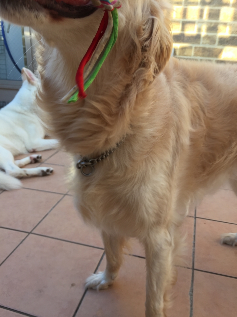 f:id:reeyan:20160711174549j:plain