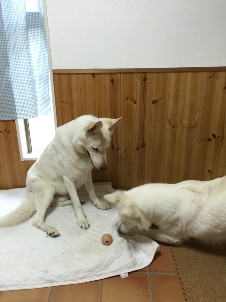 f:id:reeyan:20160712193454j:plain