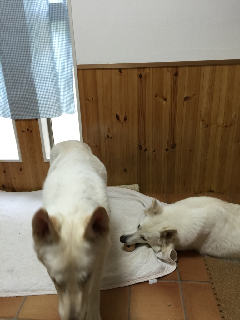 f:id:reeyan:20160712193501j:plain