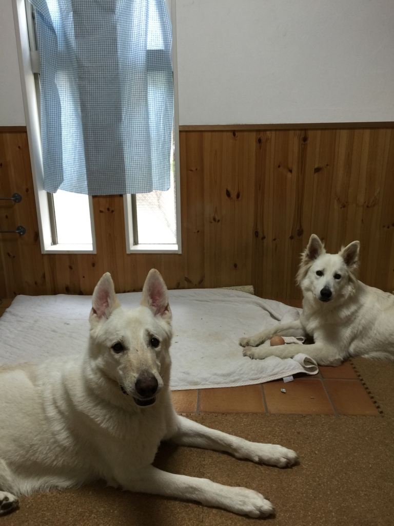 f:id:reeyan:20160712193506j:plain