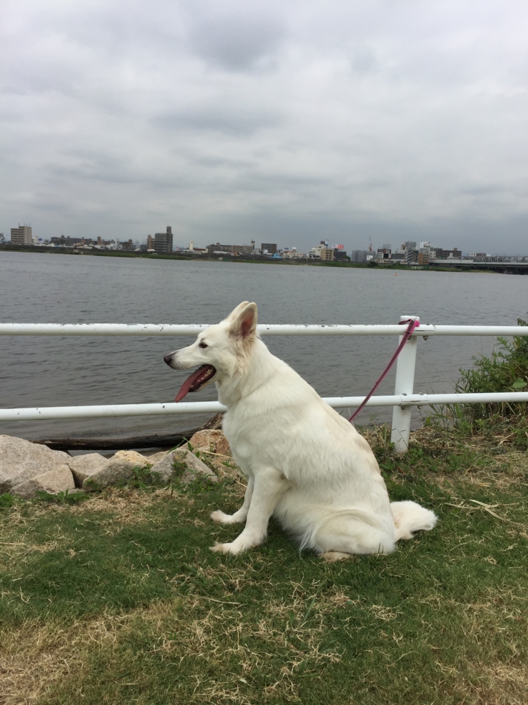 f:id:reeyan:20160725135512j:plain f:id:reeyan:20160725135512j:plain