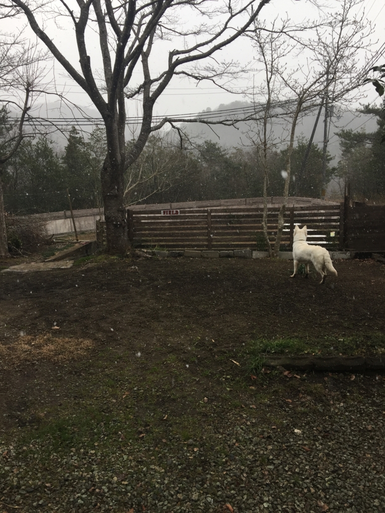 f:id:reeyan:20170125212622j:plain