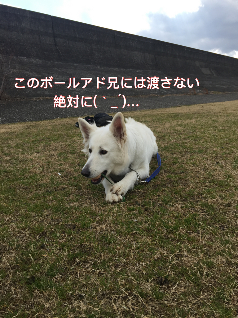 f:id:reeyan:20170210204228j:plain