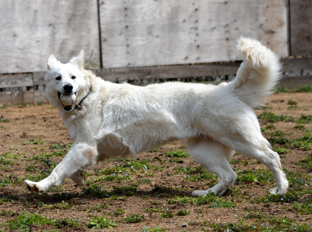 f:id:reeyan:20170326223635j:plain