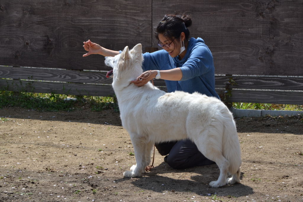 f:id:reeyan:20170417212401j:plain