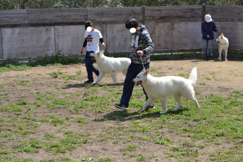 f:id:reeyan:20170417220348j:plain