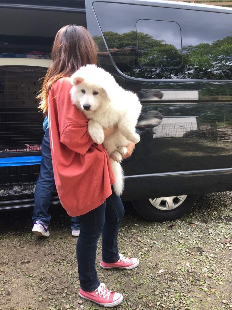 f:id:reeyan:20171018143351j:plain f:id:reeyan:20171018143351j:plain