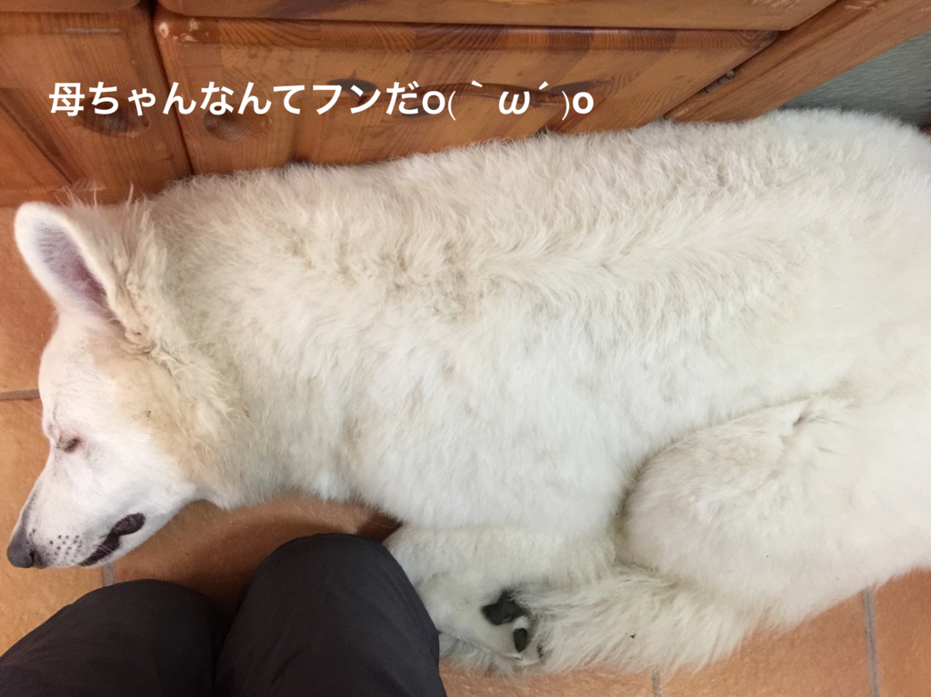 f:id:reeyan:20180209220810j:plain