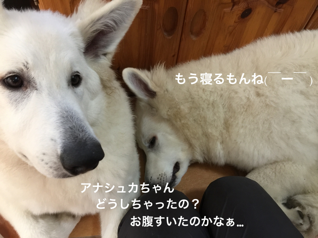 f:id:reeyan:20180209220817j:plain