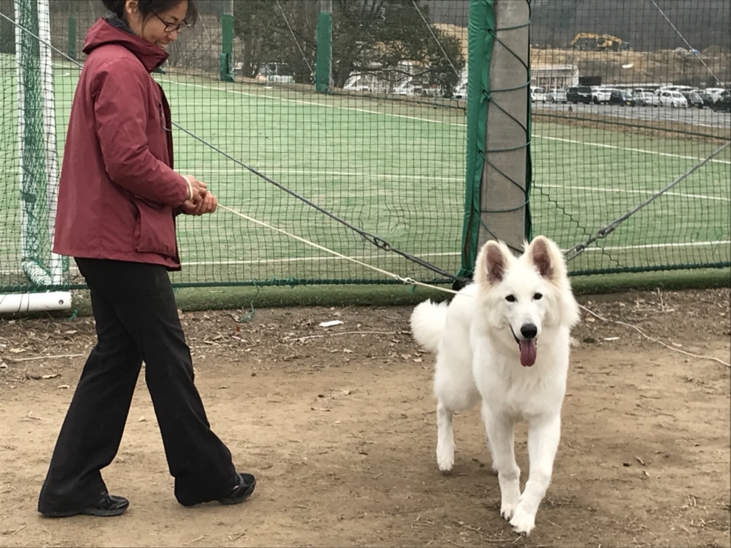 f:id:reeyan:20180227133250j:plain