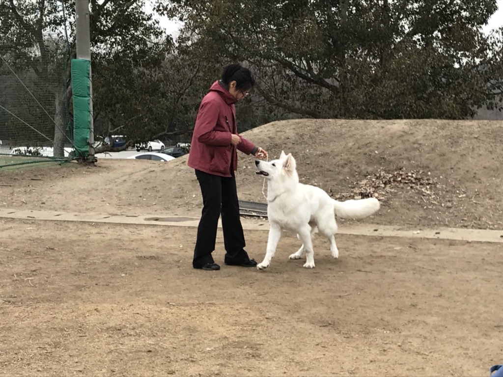 f:id:reeyan:20180227133256j:plain
