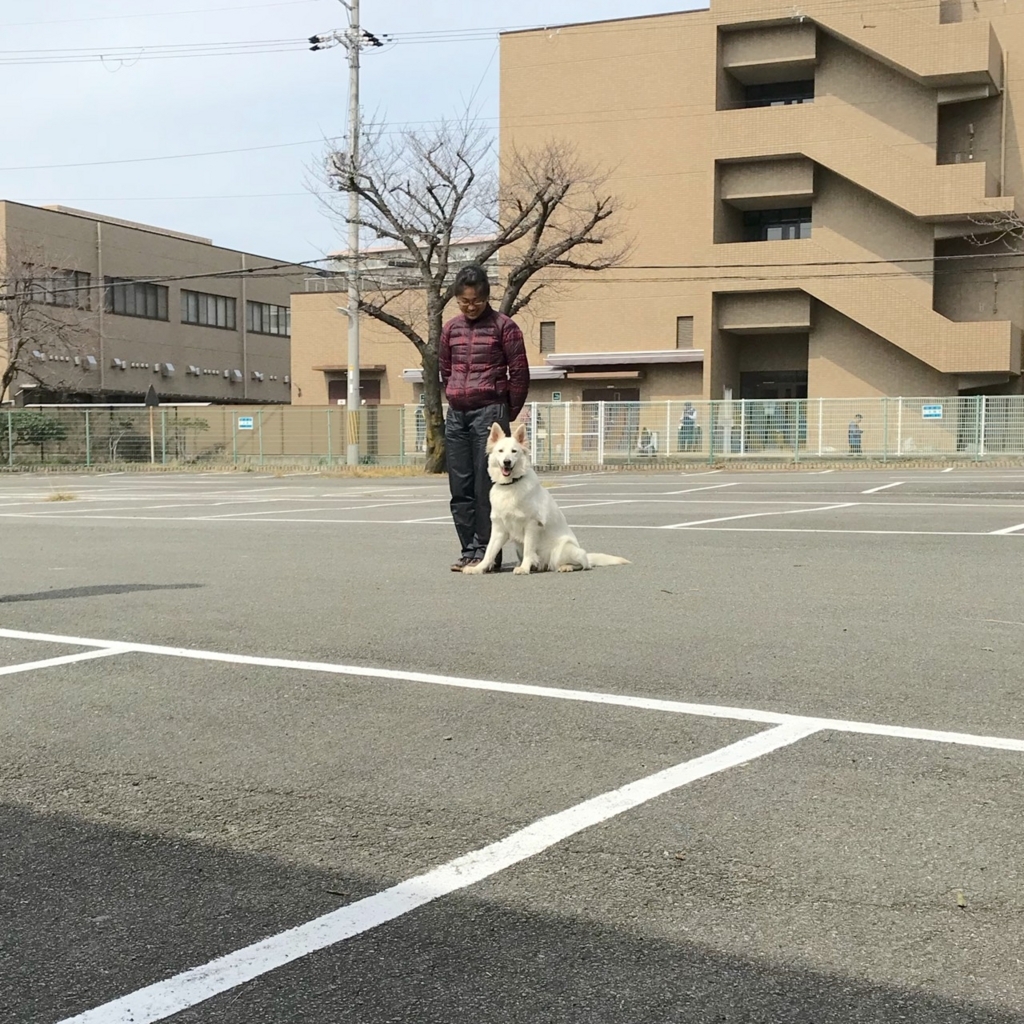 f:id:reeyan:20180307223524j:plain