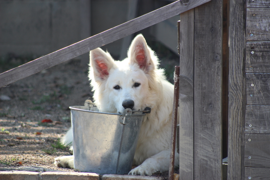 f:id:reeyan:20180331162046j:plain