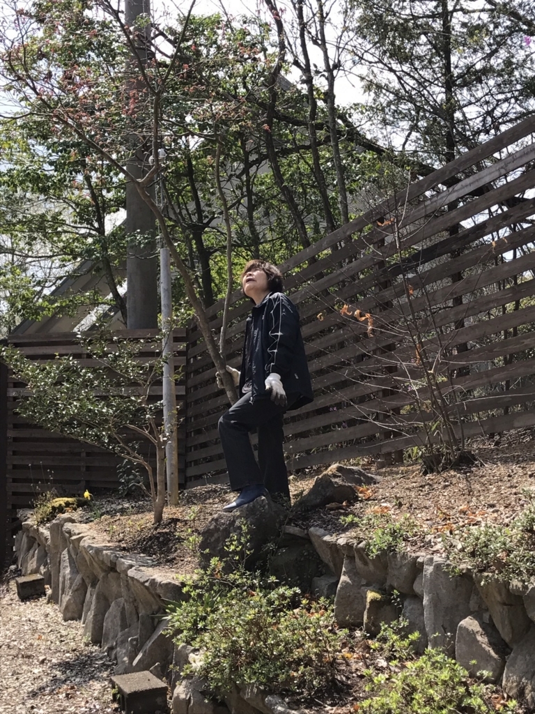 f:id:reeyan:20180408224250j:plain