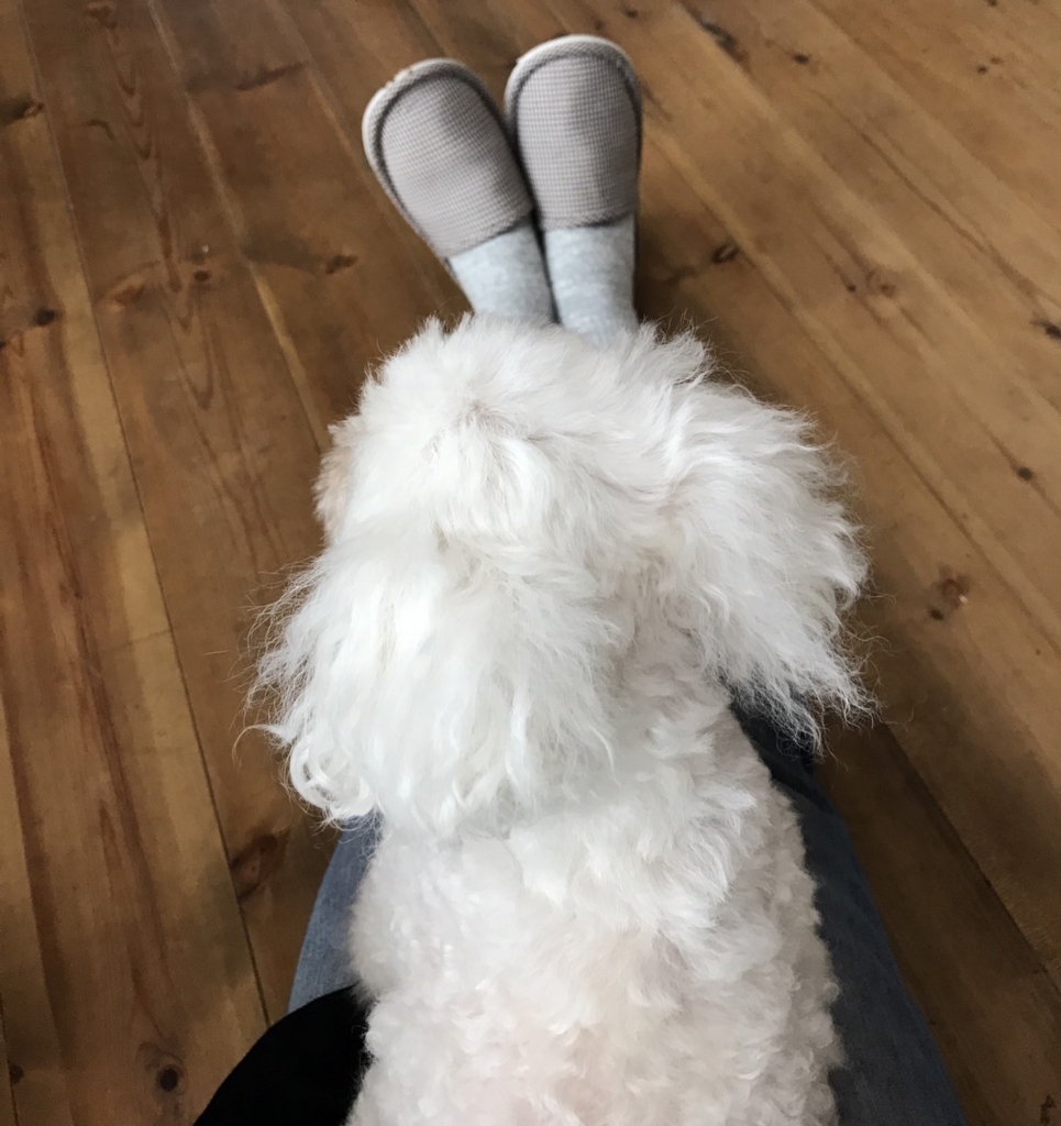 f:id:reeyan:20180408230156j:plain