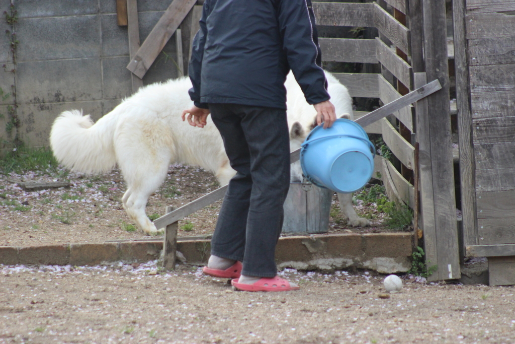 f:id:reeyan:20180409225609j:plain f:id:reeyan:20180409225609j:plain