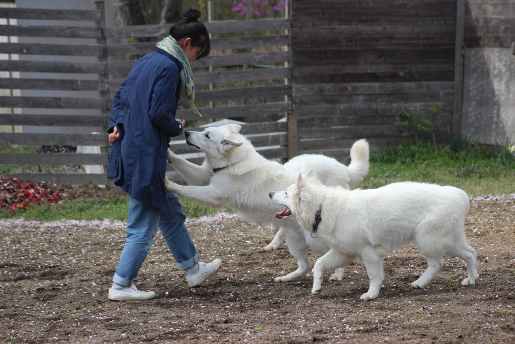 f:id:reeyan:20180409225724j:plain f:id:reeyan:20180409225724j:plain