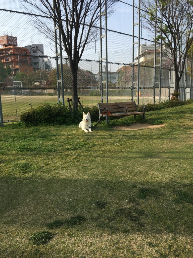 f:id:reeyan:20180412125151j:plain