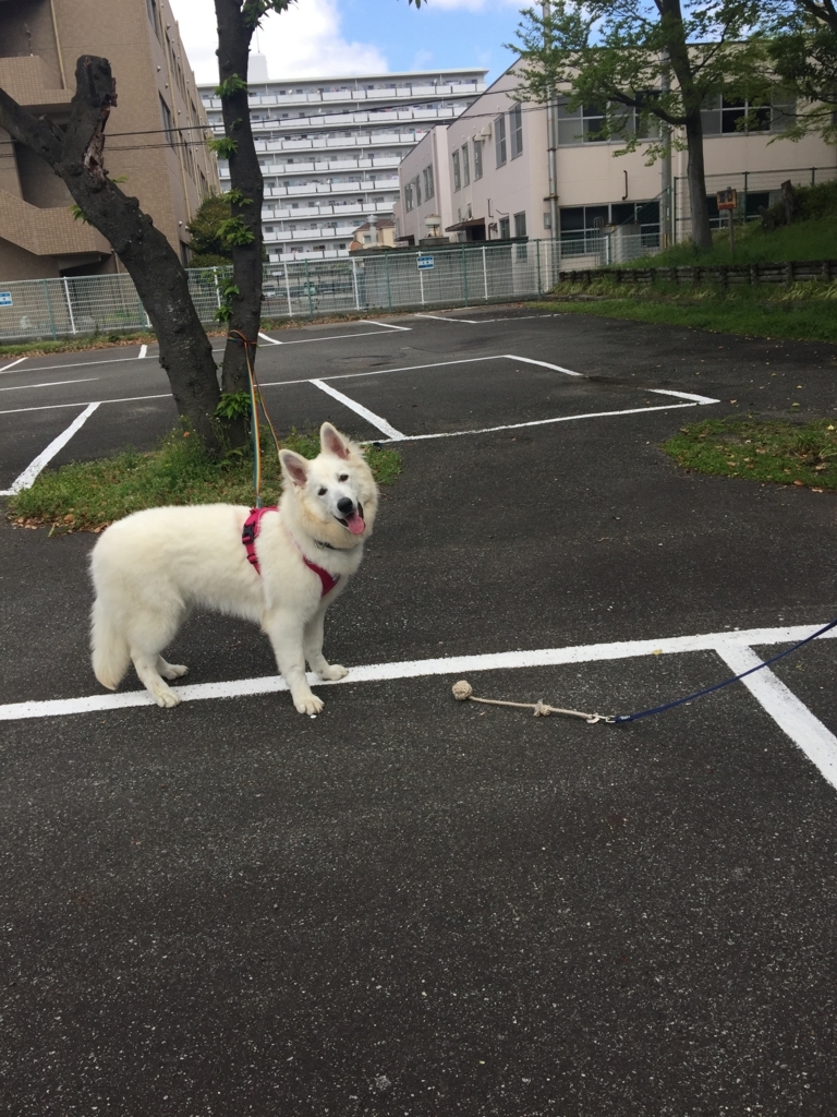 f:id:reeyan:20180418192447j:plain