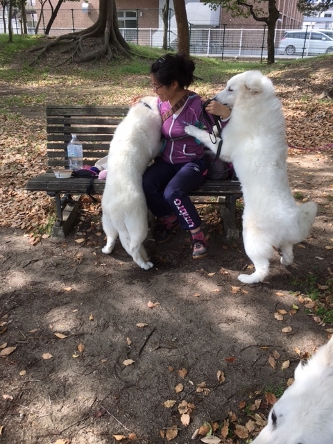 f:id:reeyan:20180424115648j:plain f:id:reeyan:20180424115648j:plain