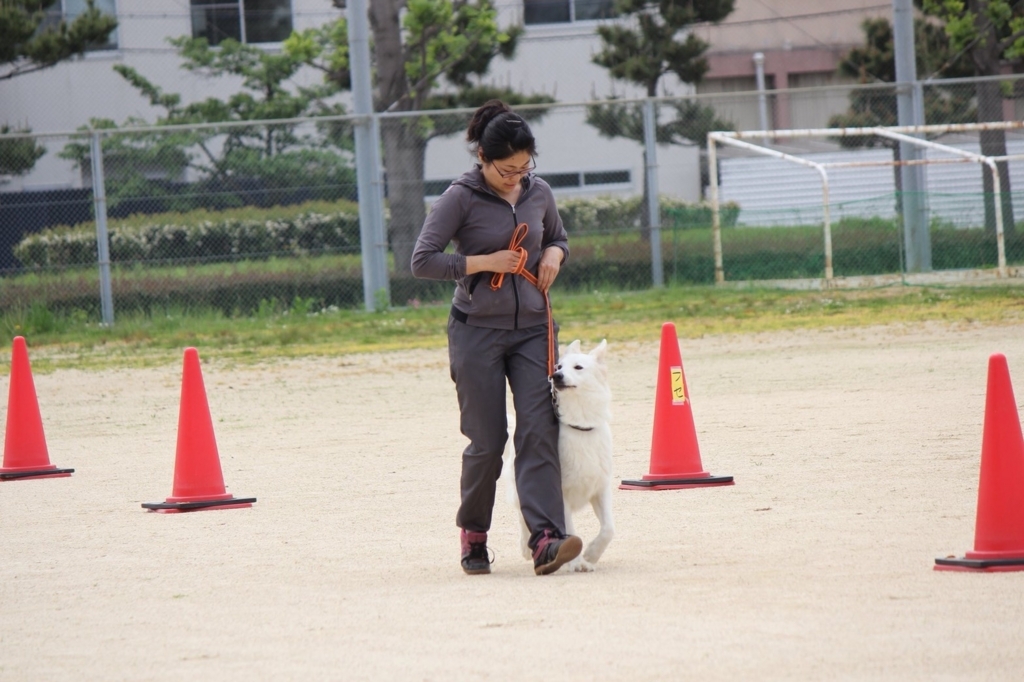 f:id:reeyan:20180501215243j:plain