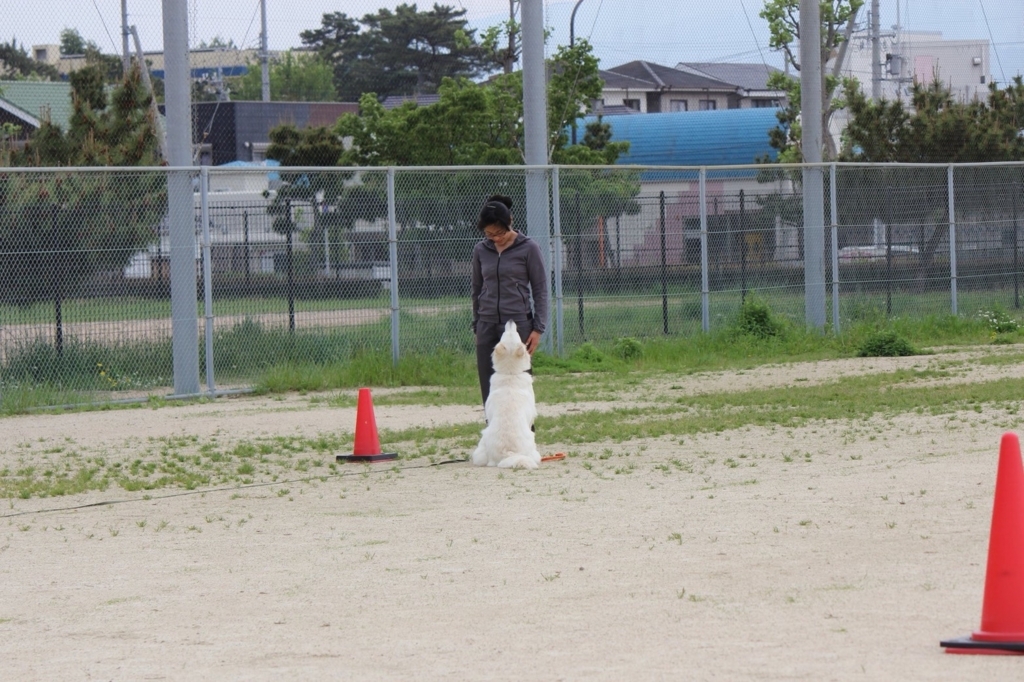 f:id:reeyan:20180501215407j:plain