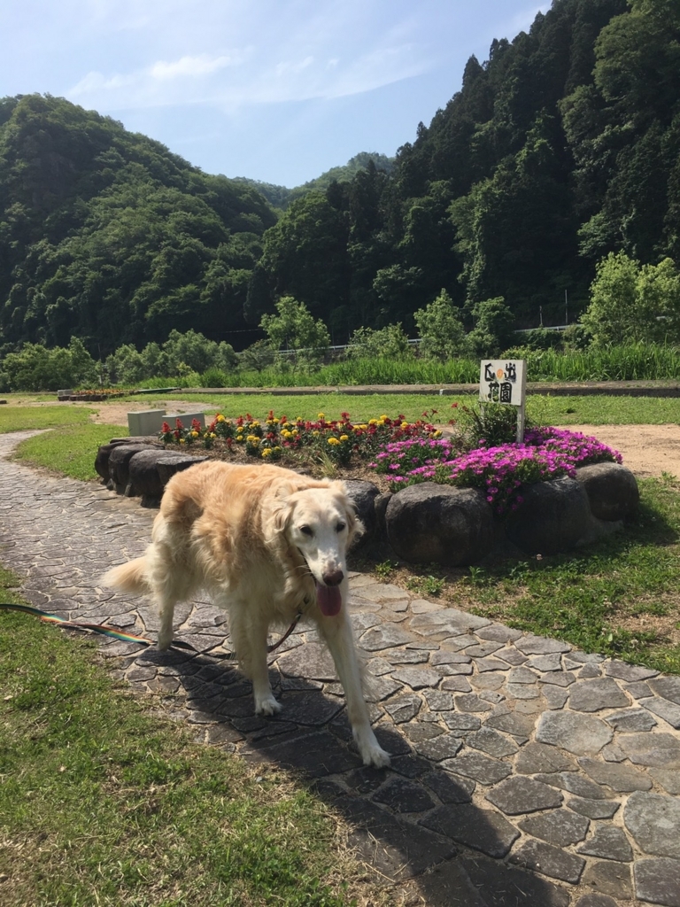 f:id:reeyan:20180530120111j:plain