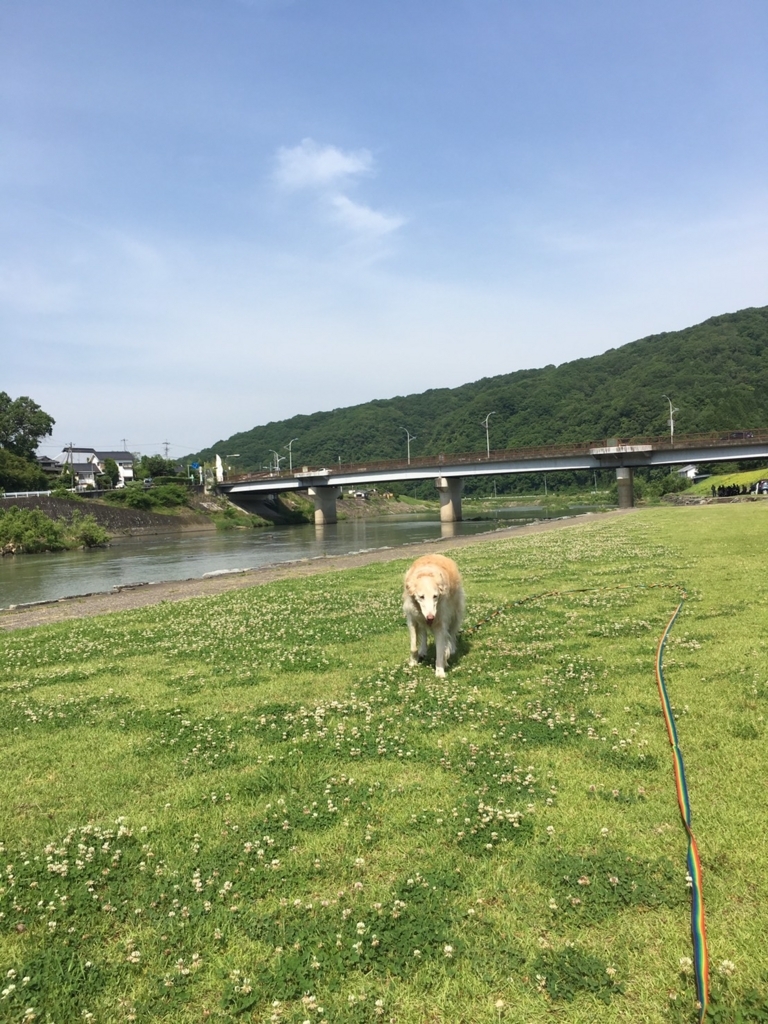 f:id:reeyan:20180530120149j:plain