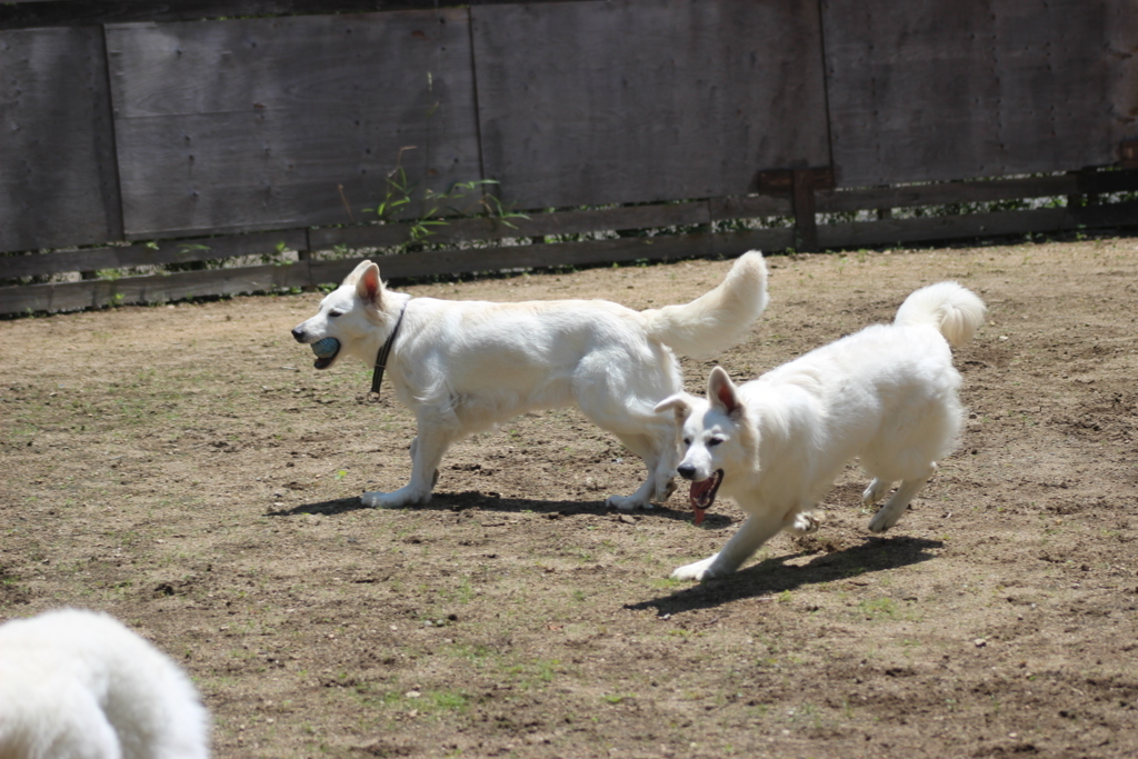 f:id:reeyan:20180603112011j:plain
